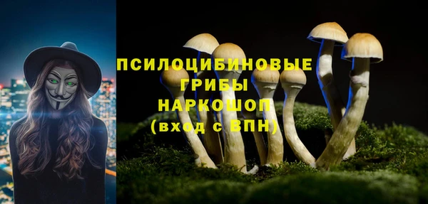 ПСИЛОЦИБИНОВЫЕ ГРИБЫ Киреевск