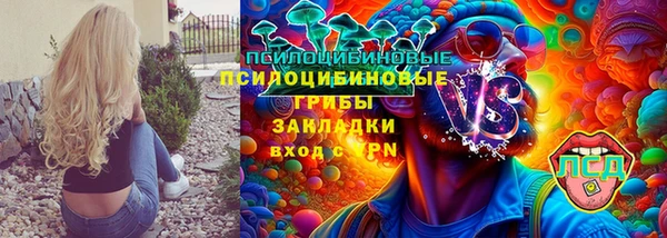 ПСИЛОЦИБИНОВЫЕ ГРИБЫ Киреевск