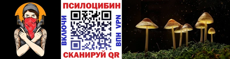 Купить  Макарьев  Галлюциногенные грибы прущие грибы 